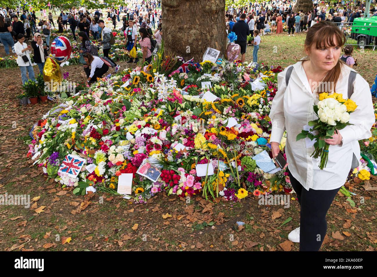 Menschen, die die Blumen-Tribute im Green Park betrachten, die von Trauernden zum Anlass des Todes von Königin Elizabeth II. Hinterlassen wurden. Green Park, London, Großbritannien. 11. September 2022 Stockfoto