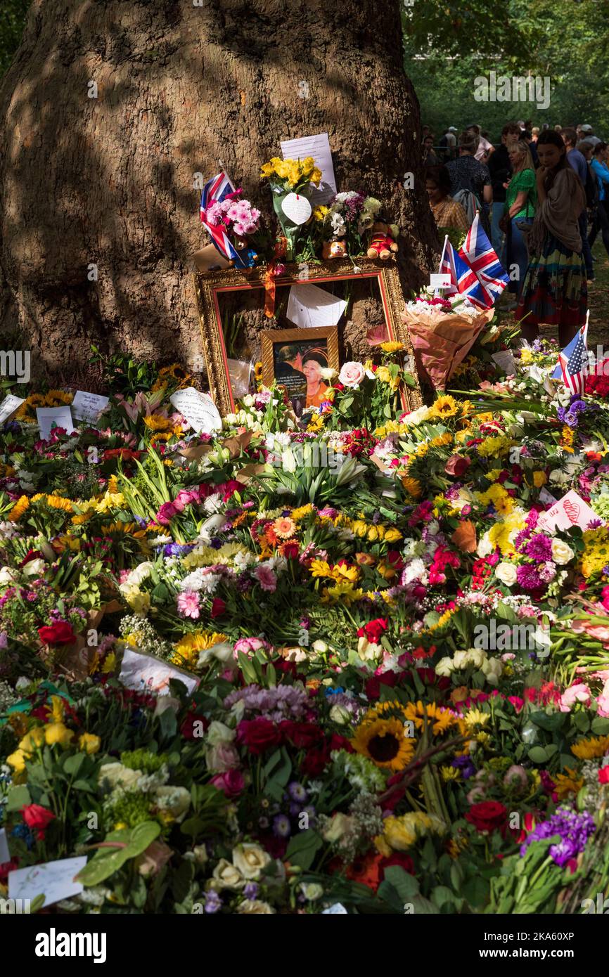 Einige der floralen Tribute im Green Park, die von Trauernden anlässlich des Todes von Königin Elizabeth II. Hinterlassen wurden. Green Park, London, Großbritannien. 11. September 2022 Stockfoto