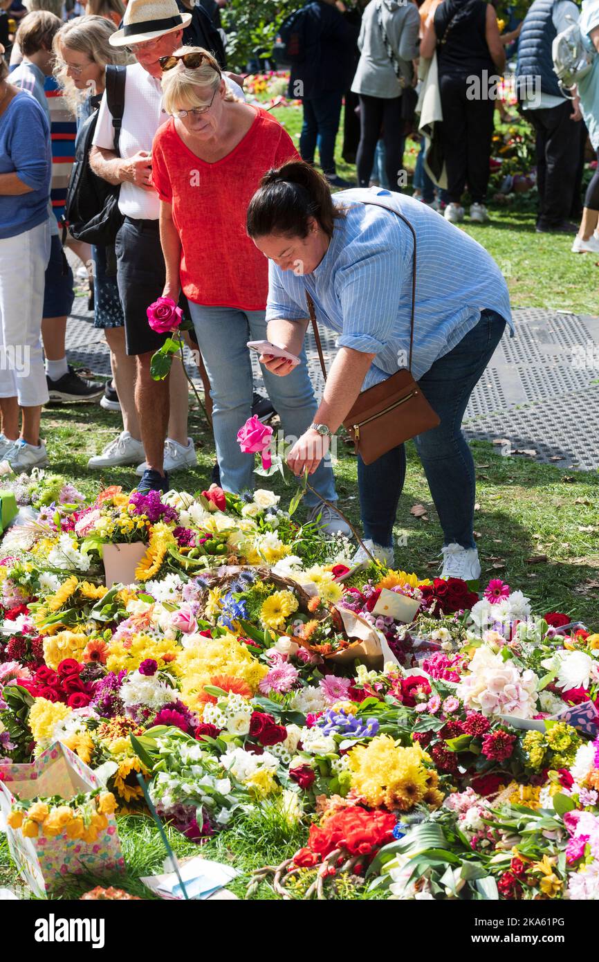 Eine Frau, die sich selbst fotografiert, indem sie eine Rose auf die Blumen-Tribute in Green Park legt, die Trauernde anlässlich des Todes von Königin Elizabeth II hinterlassen haben. Green Park, L Stockfoto