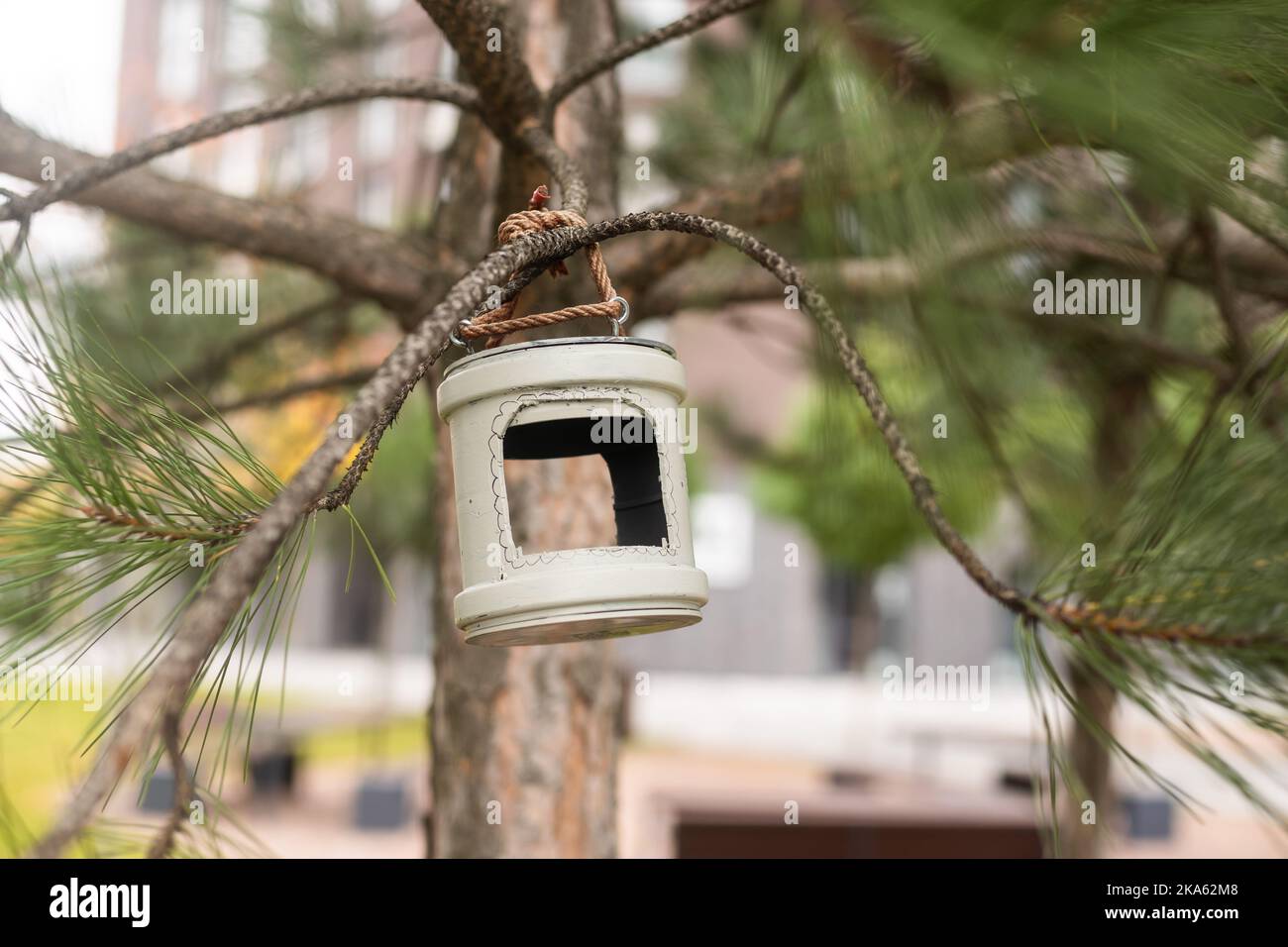 Selbstgemachte Futterstelle ein Haus aus Holz für Insekten und Bienen auf einem Baum im Wald. Kinder kümmern sich um die Natur. Stockfoto