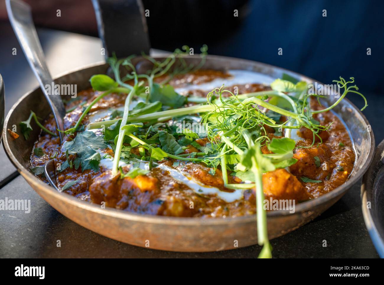 Shahi Lasooni Paneer diente in Stockholm, Schweden. Shahi Lasooni Paneer ist ein indischer Quark, der in einer Cashew-Sauce geröstet wird. Stockfoto