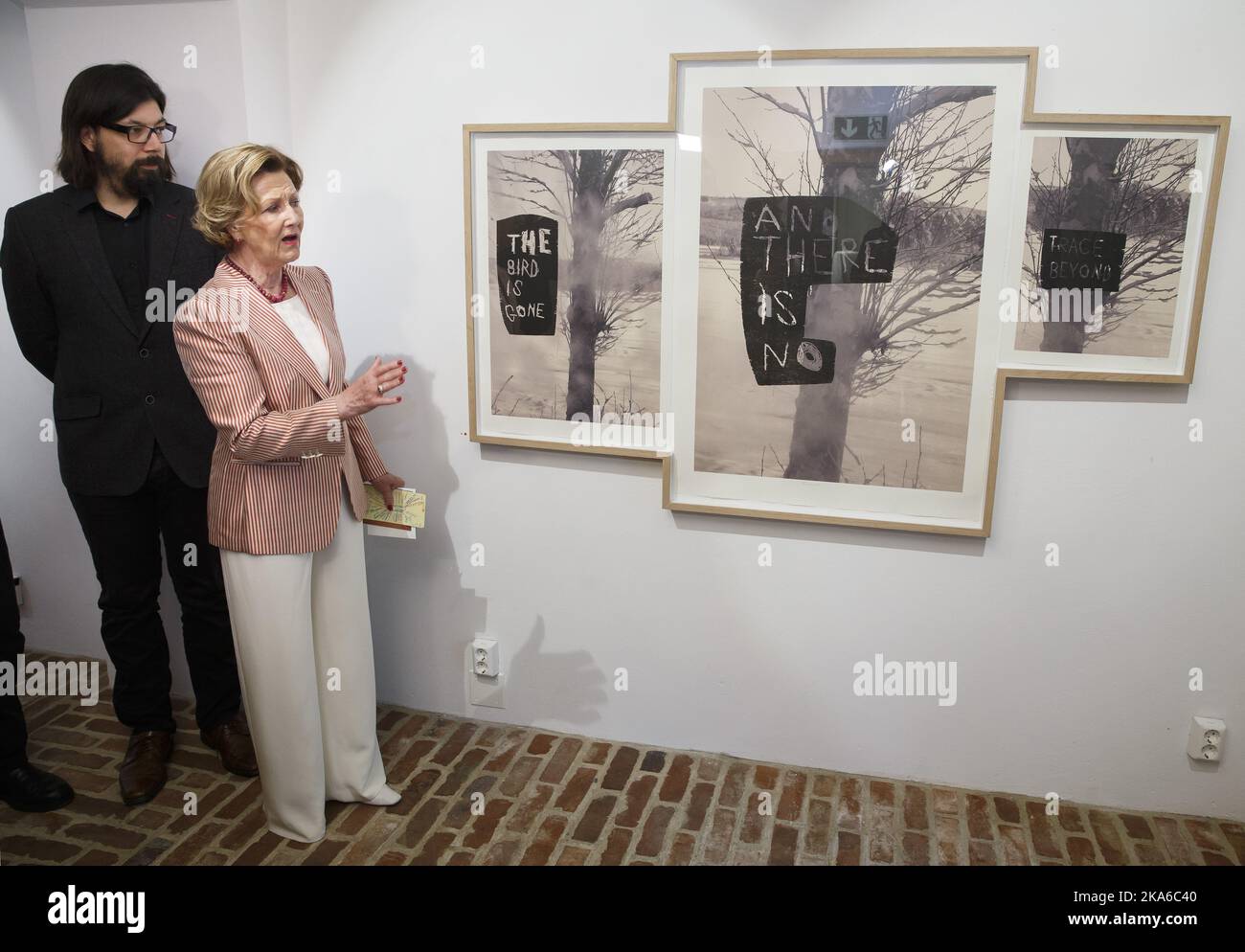 OSLO, Norwegen 20150513. HM Queen Sonja und der dänische Grafiker Svend-Allan Soerensen in der Galerie Queen Josephine auf dem Oscarshall in Oslo anlässlich der Eröffnung der Ausstellung "Miscellaneous Notes on Nordic Birds". Svend-Allan Soerensen gewann 2014 das Queen's Stipendium und die Verkaufsausstellung in Zusammenarbeit mit der Foundation Queen Sonja Artist Scholarship. Die Arbeit auf der linken Seite basiert auf einer Arbeit von Kjell Nupens und ist eine Zusammenarbeit mit der Königin und Soerensen. Foto: Heiko Junge / NTB scanpix [LANUAGESEPARATOR] OSLO 20150513. Dronning Sonja Og den danske grafieren Svend-Allan SÃ¸rens Stockfoto
