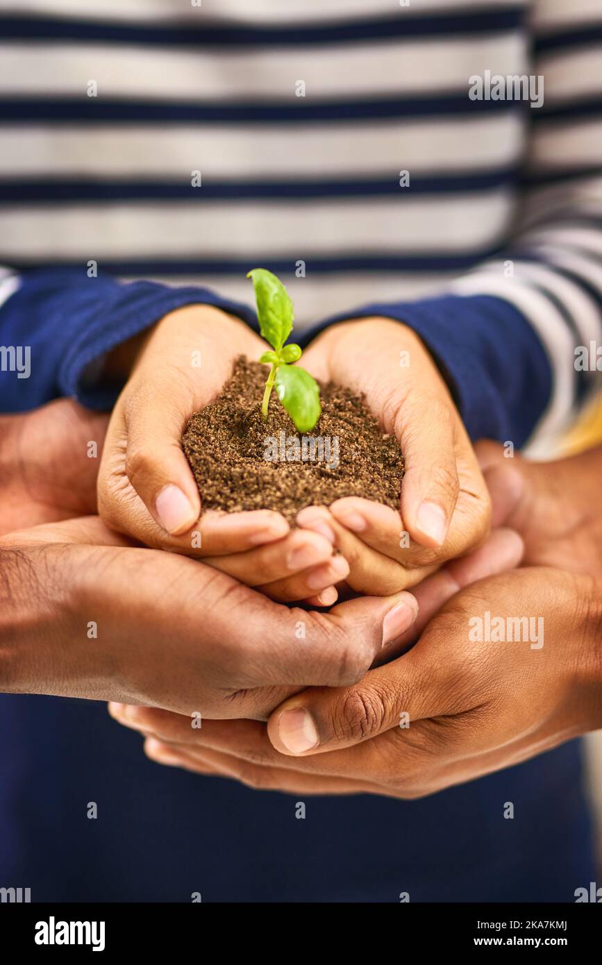 Sie ernten, was Sie säen. Eine Gruppe von Menschen, die Pflanzen halten, die aus dem Boden wachsen. Stockfoto