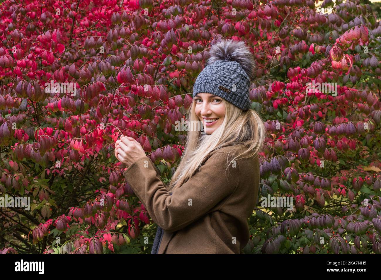 Schöne Frau, die im Herbst neben einem rotblättrigen Strauch steht und lächelt die Kamera an Stockfoto