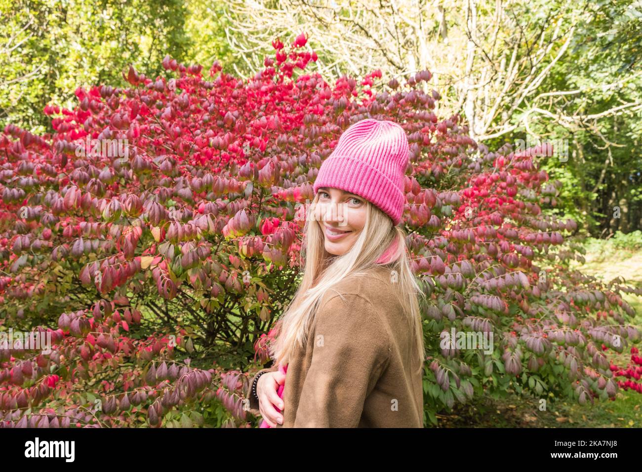 Schöne Frau in einem rosa Hut neben einem rotblättrigen Strauch im Herbst Stockfoto