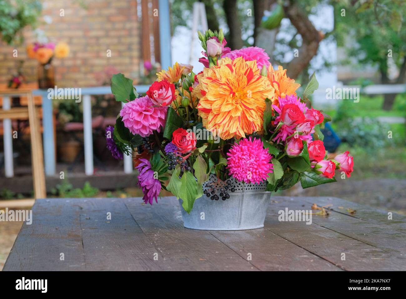 Herbstblumen: rosen, Aster, Dahilie im Garten auf einem Holztisch. Helles, ländliches Design. Sonniger Tag. Stockfoto