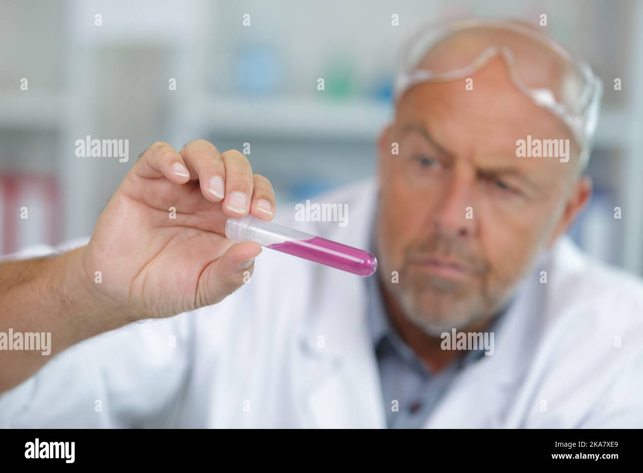 Reifer Wissenschaftler in einem Weißkohlebein, der im Labor ein Reagenzglas hält Stockfoto