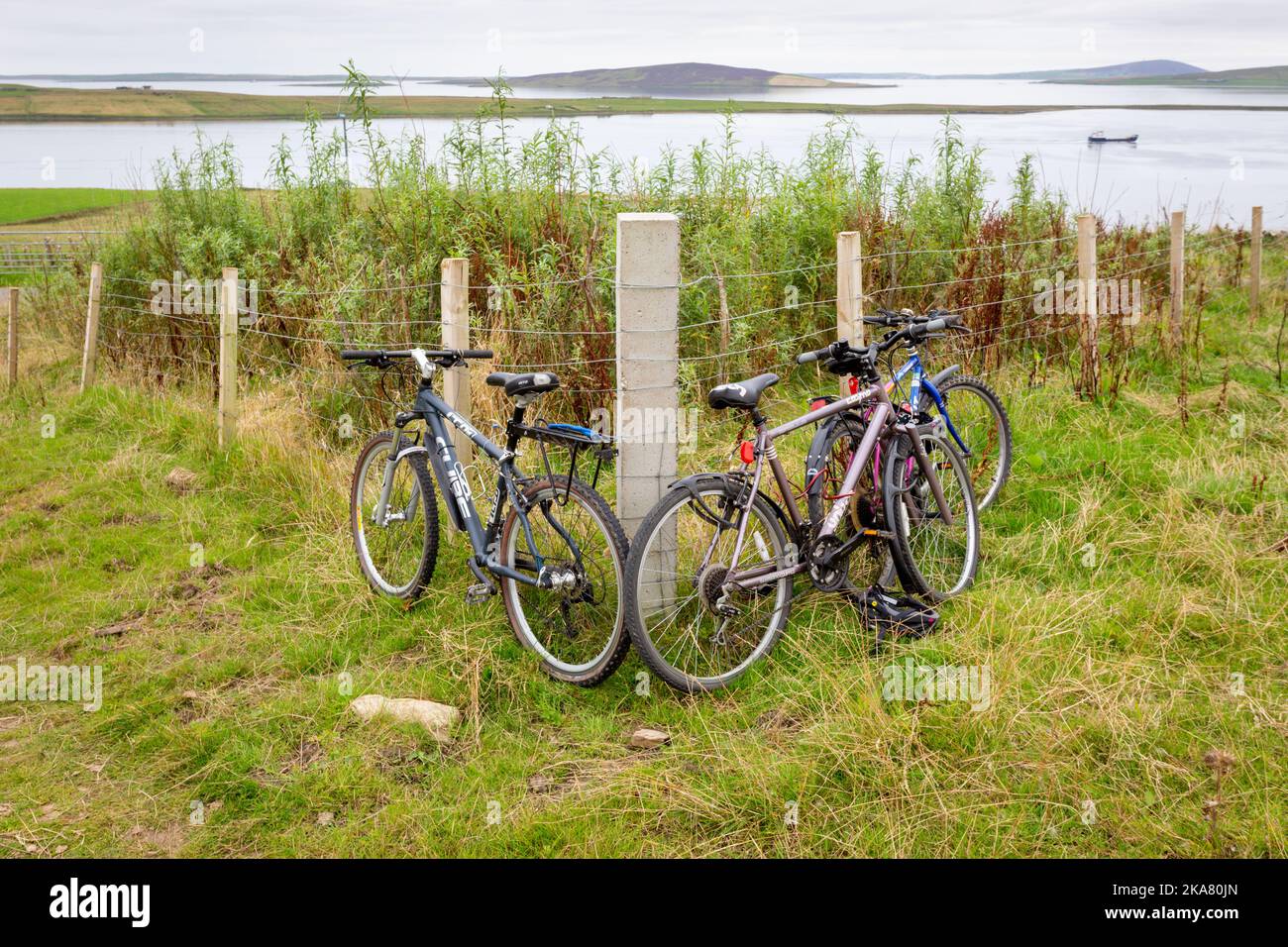 Drei Fahrräder am Zaun, Rousay, Orkney, Großbritannien Stockfoto