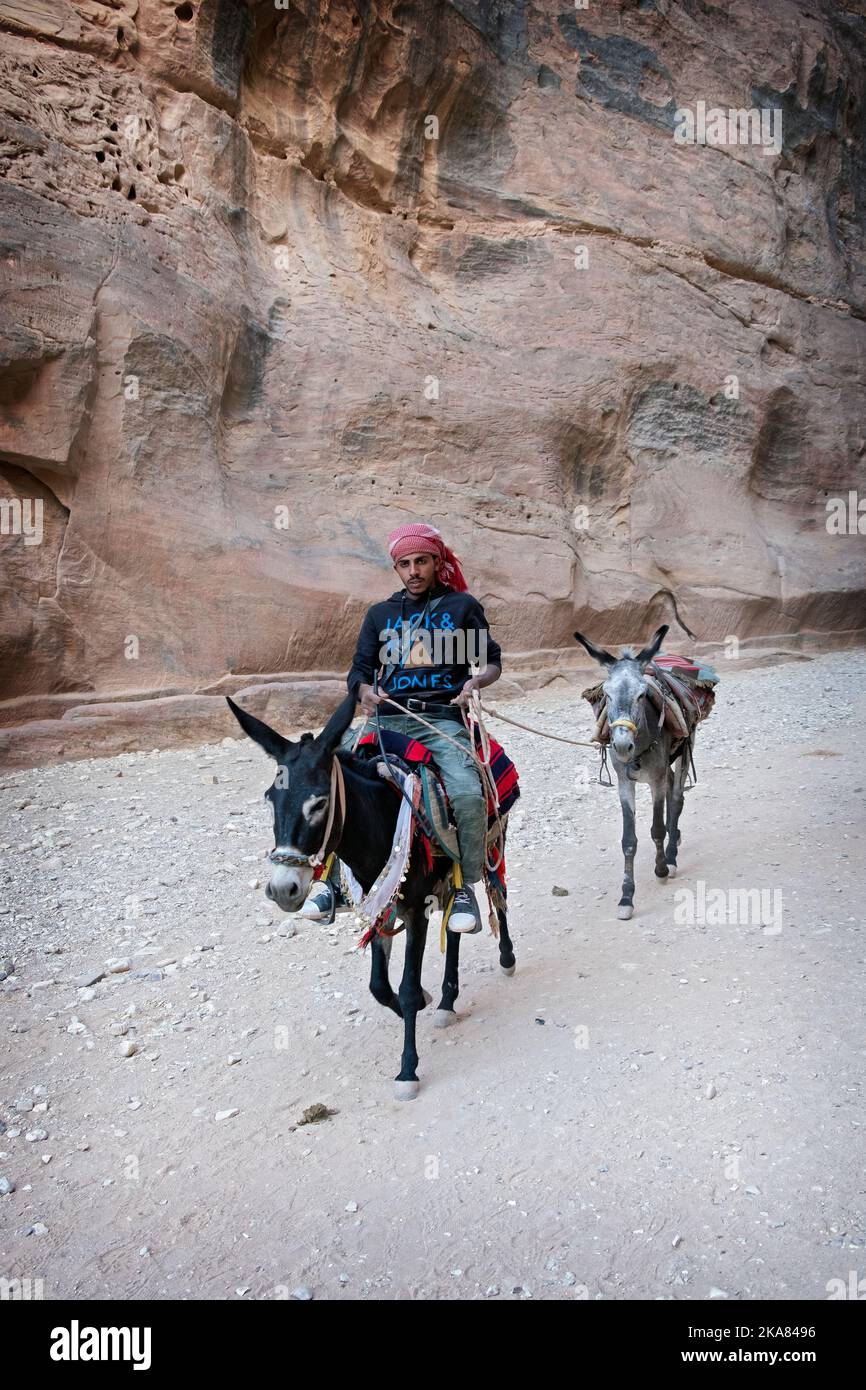 In Petra fährt ein jordanischer Mann mit seinem Maultier und nimmt einen weiteren auf den Grund der Hügel, um als Taxi für müde Touristen genutzt zu werden. Stockfoto