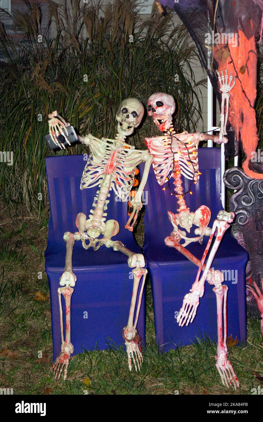 Eine lustige Halloween Rasendekoration mit 2 Skeletten, die ein Selfie machen. In Flushing, Queens, New York. Stockfoto