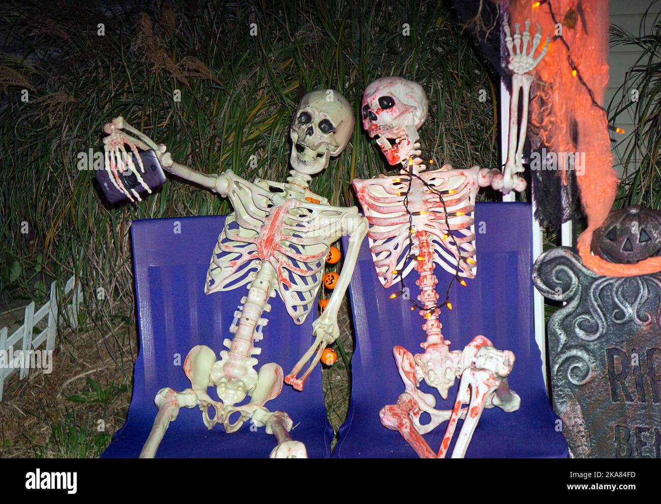 Eine lustige Halloween Rasendekoration mit 2 Skeletten, die ein Selfie machen. In Flushing, Queens, New York. Stockfoto