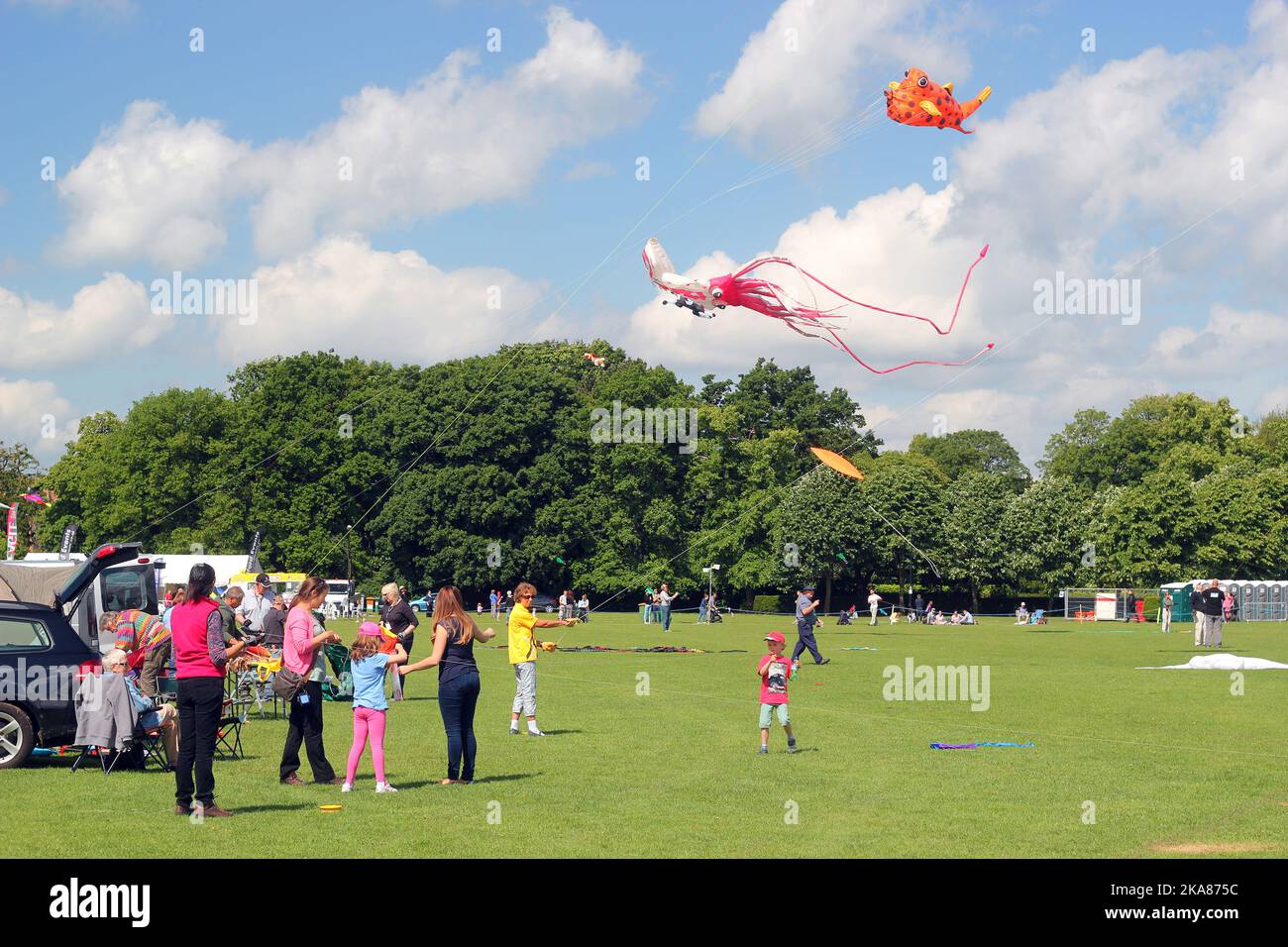 Drachen fliegen beim jährlichen Drachenfest entlang der Uferpromenade in Bedford, Großbritannien. Drachenflieger aus der ganzen Welt nehmen an dieser jährlichen Veranstaltung Teil. Stockfoto