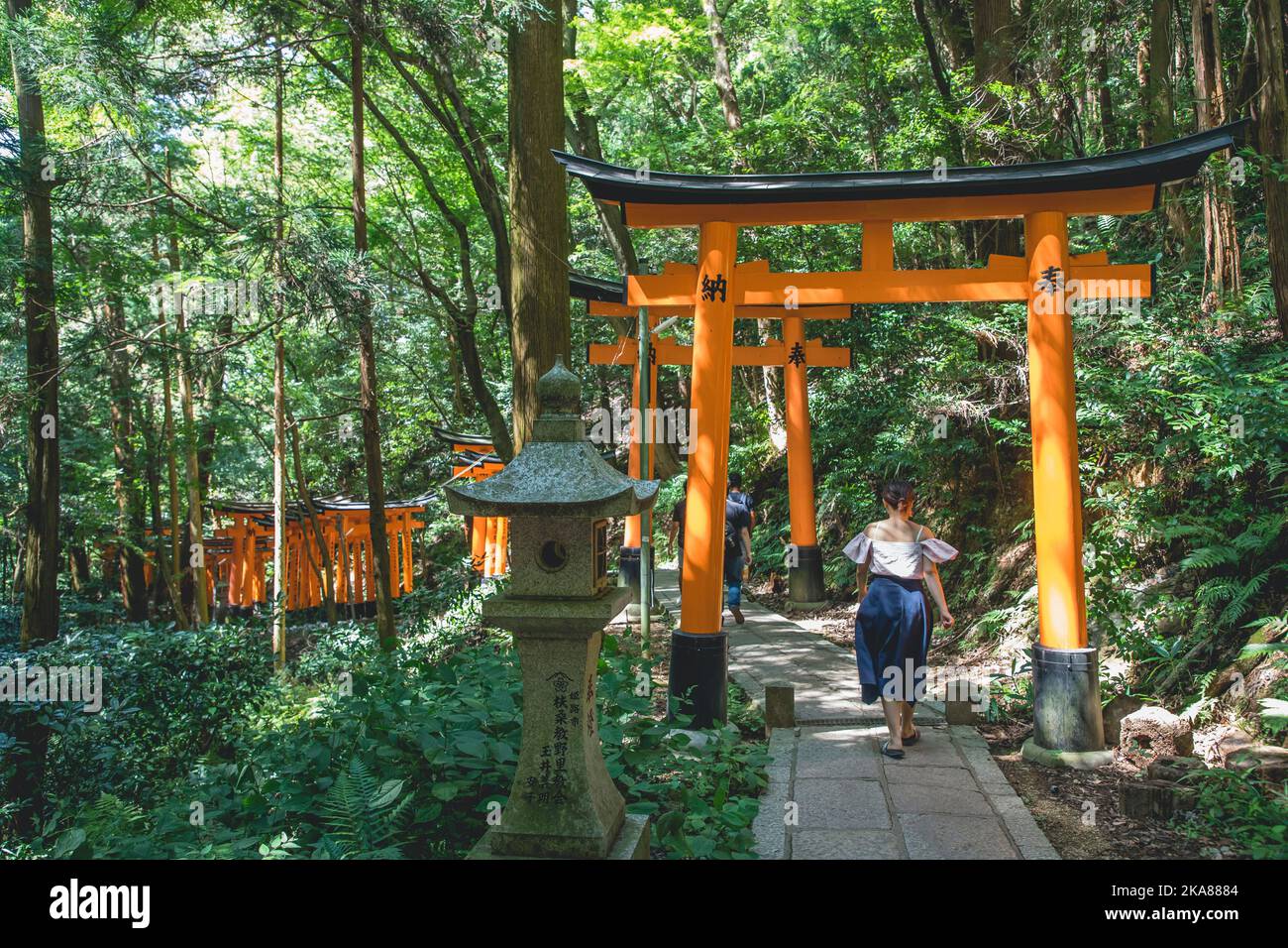 Das rote Torii-Tor im Fushimi Inari Taisha-Schrein ist das berühmte Wahrzeichen von Kyoto, Japan Stockfoto