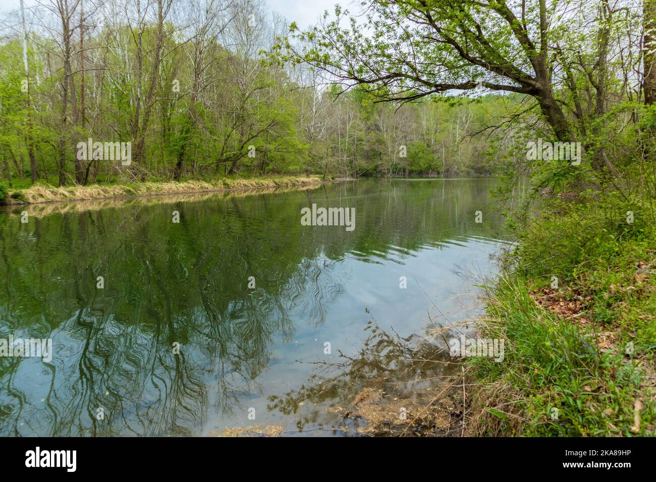 Ein wunderschöner See, umgeben von Grün im Patapsco State Valley Park in Baltimore, Maryland Stockfoto