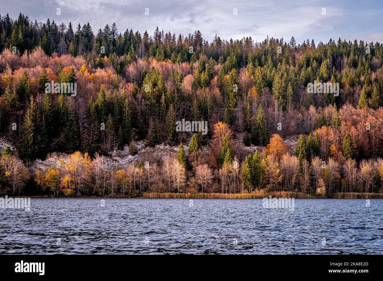 Landschaft mit Berg, See und Bäumen im Herbst. Lac Brenet. Vallee de Joux, Kanton Waadt, Schweiz Stockfoto