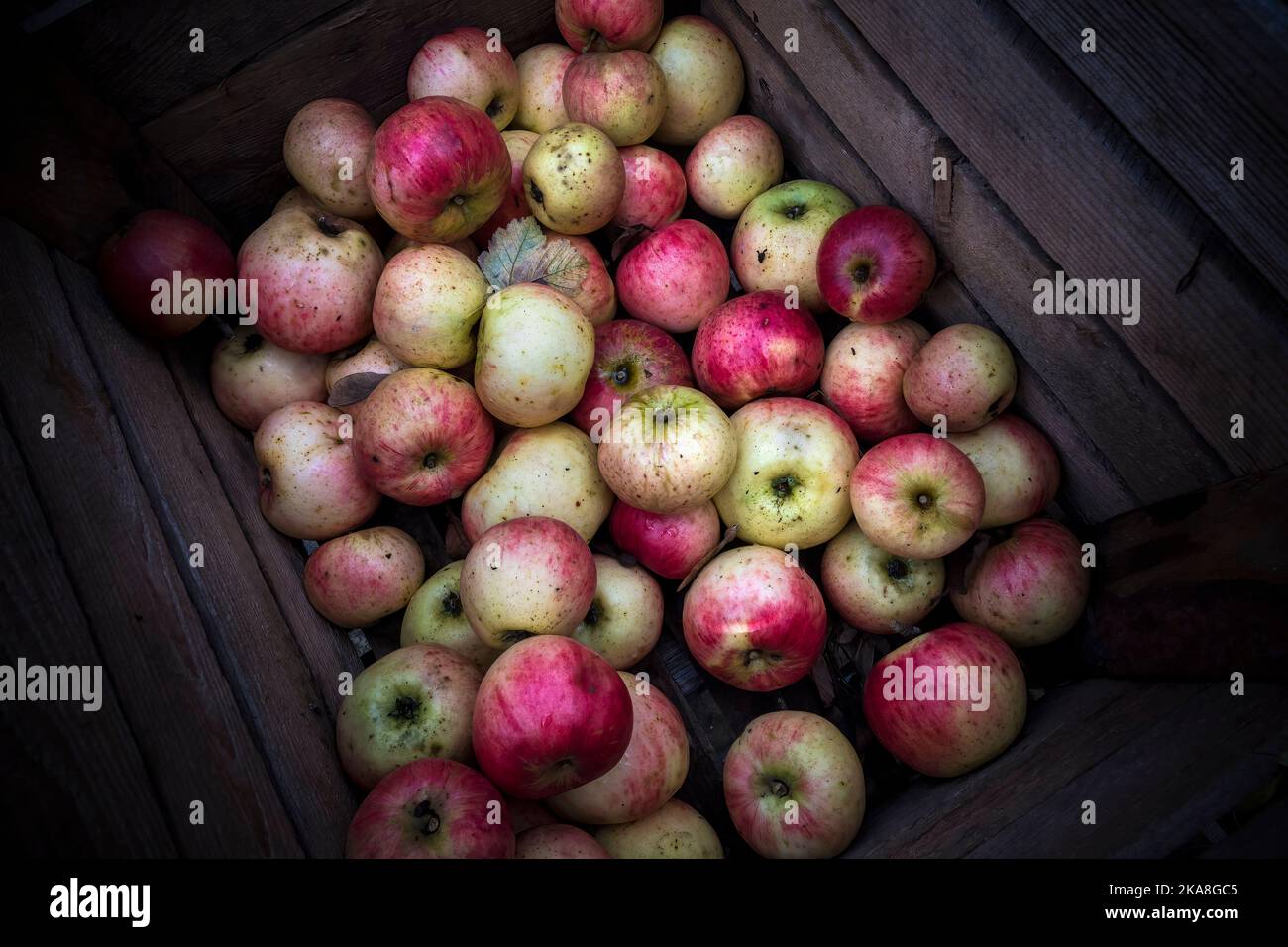 Äpfel zum Verkauf in Containern auf dem lokalen Markt Stockfoto