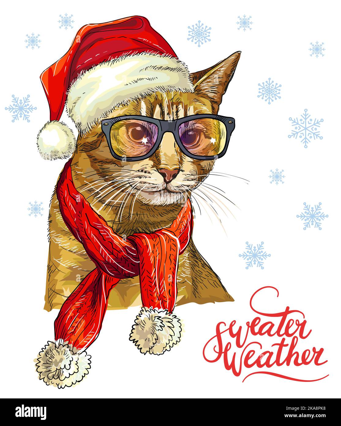 Weihnachtskarte mit lustigen niedlichen wichtigen Katze in weihnachtshut, Brille. Winterhintergrund mit Schneeflocken. Schriftzug Pullover Wetter. Vektorgrafik Stock Vektor
