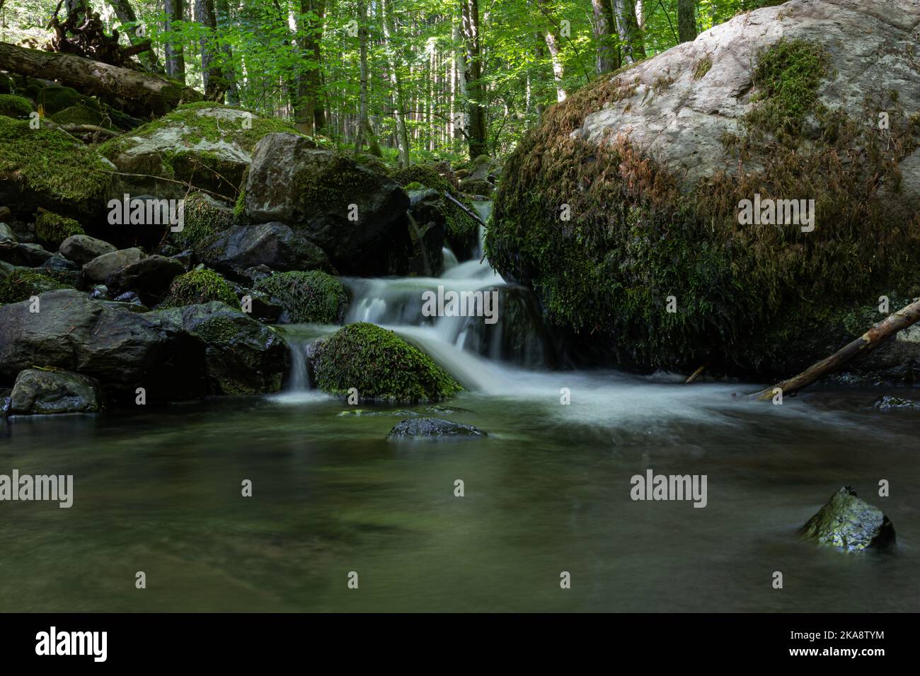 Ein atemberaubender Blick auf einen kleinen Wasserfall, der durch die moosbedeckten Felsen im UNESCO-Biosphärenreservat Rhon fließt Stockfoto