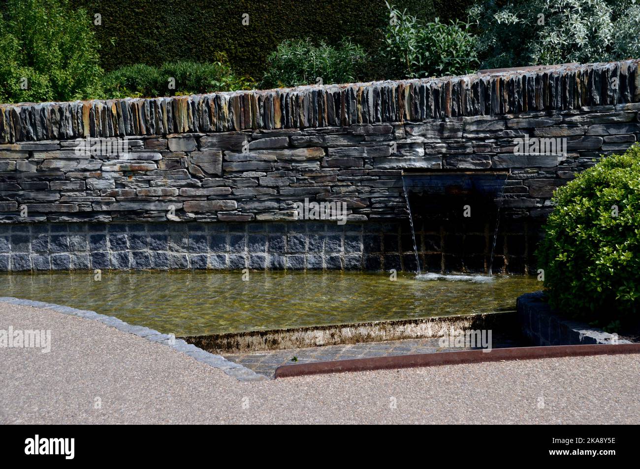 Wasserlauf durch den Cool Garden im RHS Garden Rosemoor, Torrington, North Devon, England, Großbritannien Stockfoto