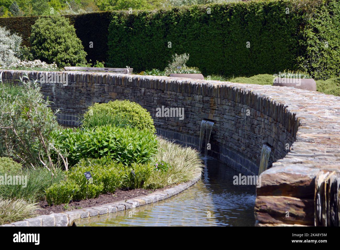 Wasserlauf durch den Cool Garden im RHS Garden Rosemoor, Torrington, North Devon, England, Großbritannien Stockfoto