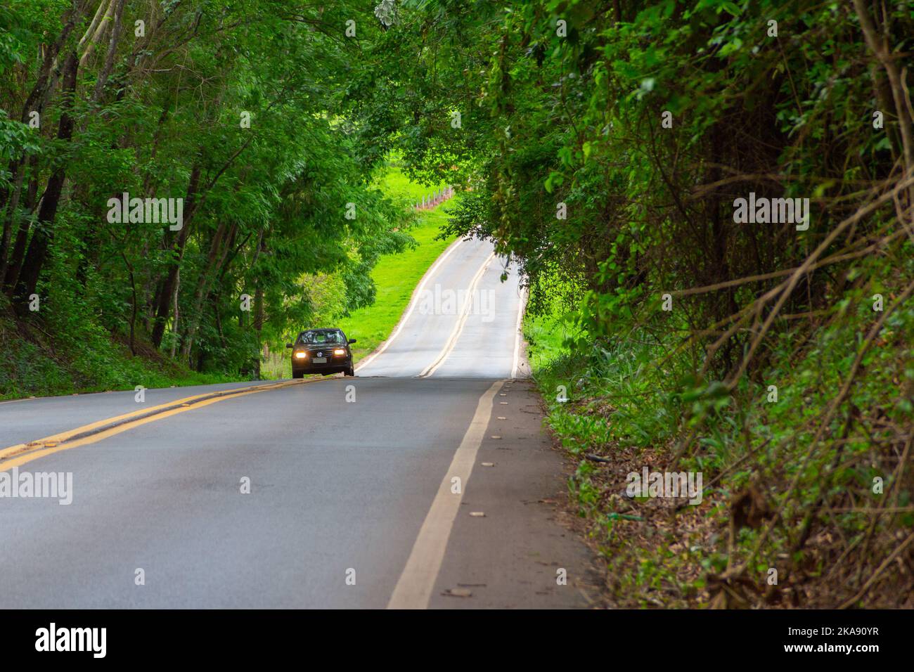 Goiânia, Goias, Brasilien – 30. Oktober 2022: Landschaft eines Teiles der Autobahn GO-462, mit einem Auto unterwegs, in Goiás. Baumtunnel. Goiás Straße. Stockfoto