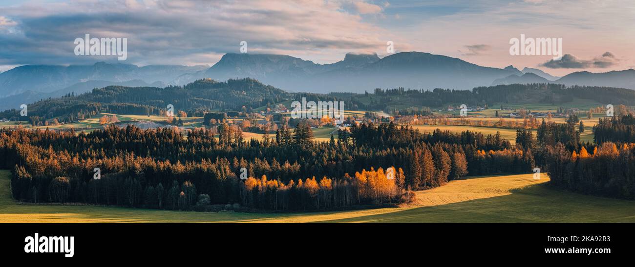 Ein breiter Panoramablick mit Abendlicht und Herbstfarben im Allgäu, in Bayern, Süddeutschland. Diese Landschaft liegt in der Nähe von Seeg und Rückhol Stockfoto
