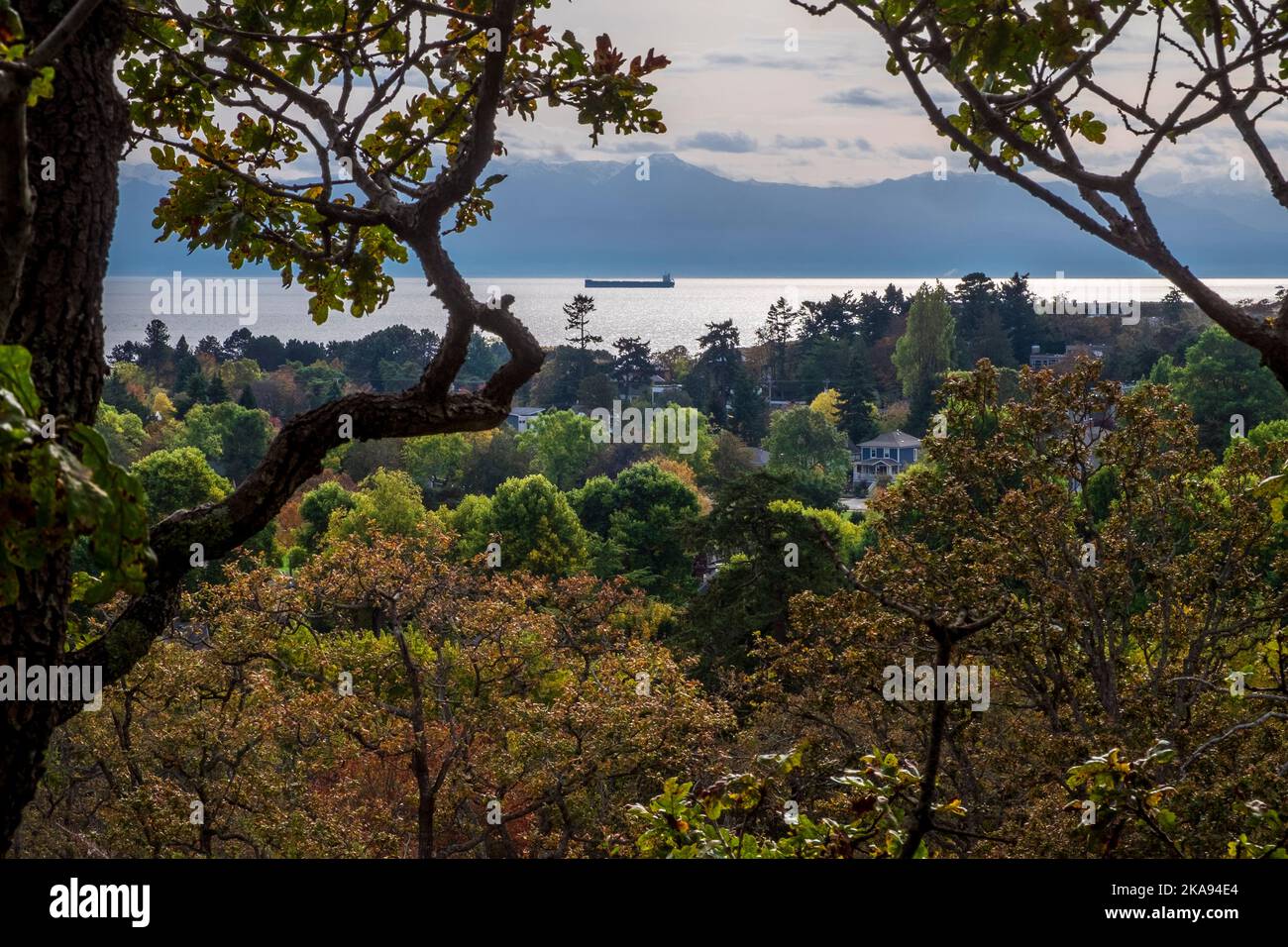 Blick von der Terrasse im Government House, Victoria, British Columbia, Kanada Stockfoto