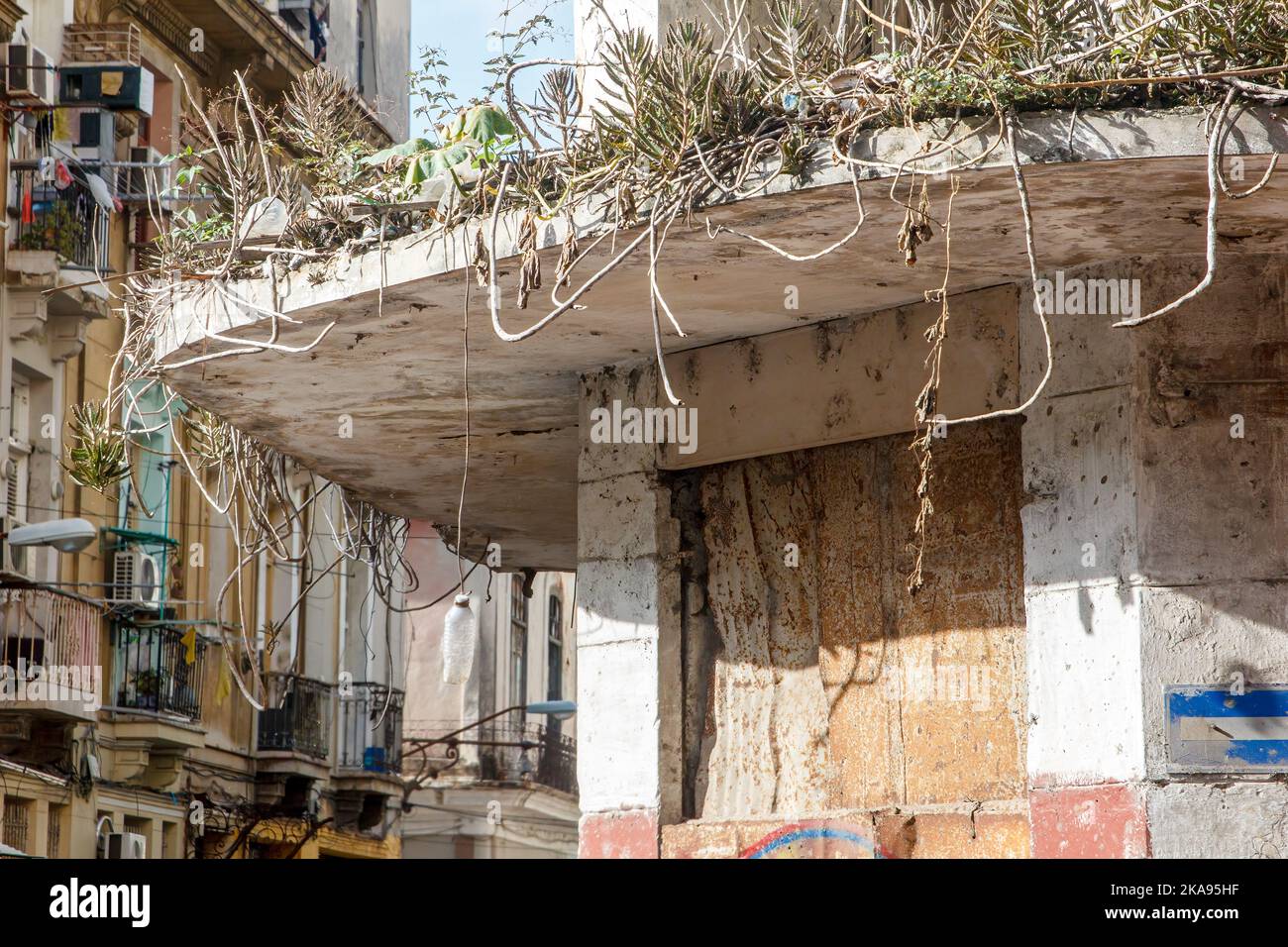 Beschädigte und heruntergekommenen Gebäude in der kubanischen Hauptstadt. Die Fassaden sind voller Unkraut. Auch verwittert und mangelte Wartung. Stockfoto