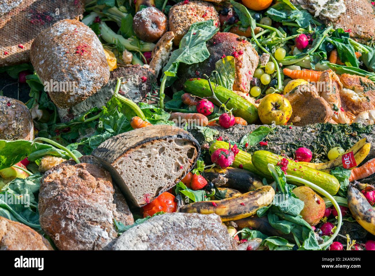 Überschüssige Lebensmittel, abgelaufenes Obst und verdorbenes, überfälliges Gemüse aus Geschäften, Bäckereien und Supermärkten, die auf dem Boden im Wald für Wildtiere zum Essen angelegt wurden Stockfoto