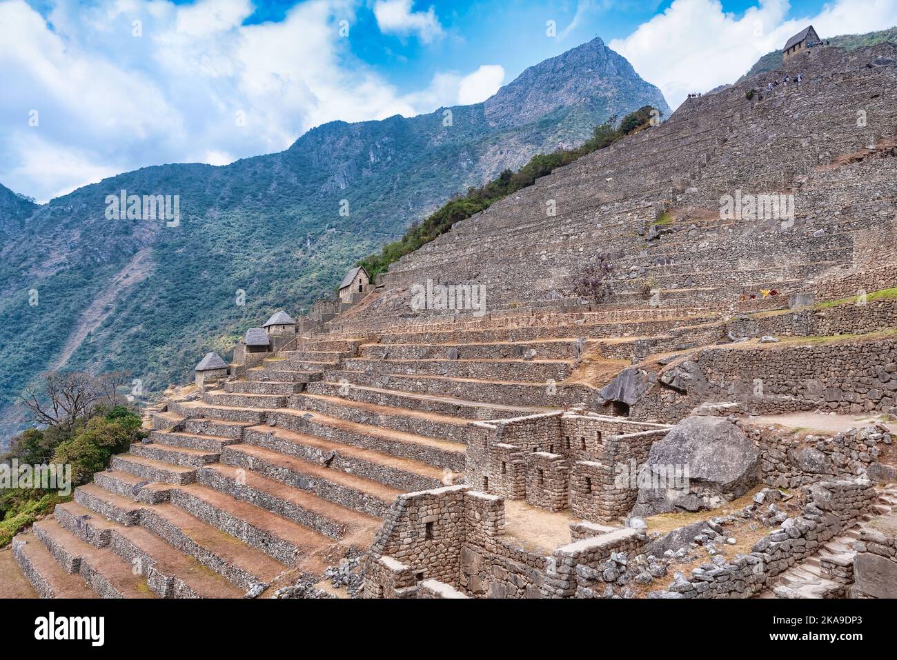 Die Terrassen von Machu Picchu, Peru. Ein Großteil der Landwirtschaft in Machu Picchu wurde auf Hunderten von künstlichen Terrassen durchgeführt Stockfoto