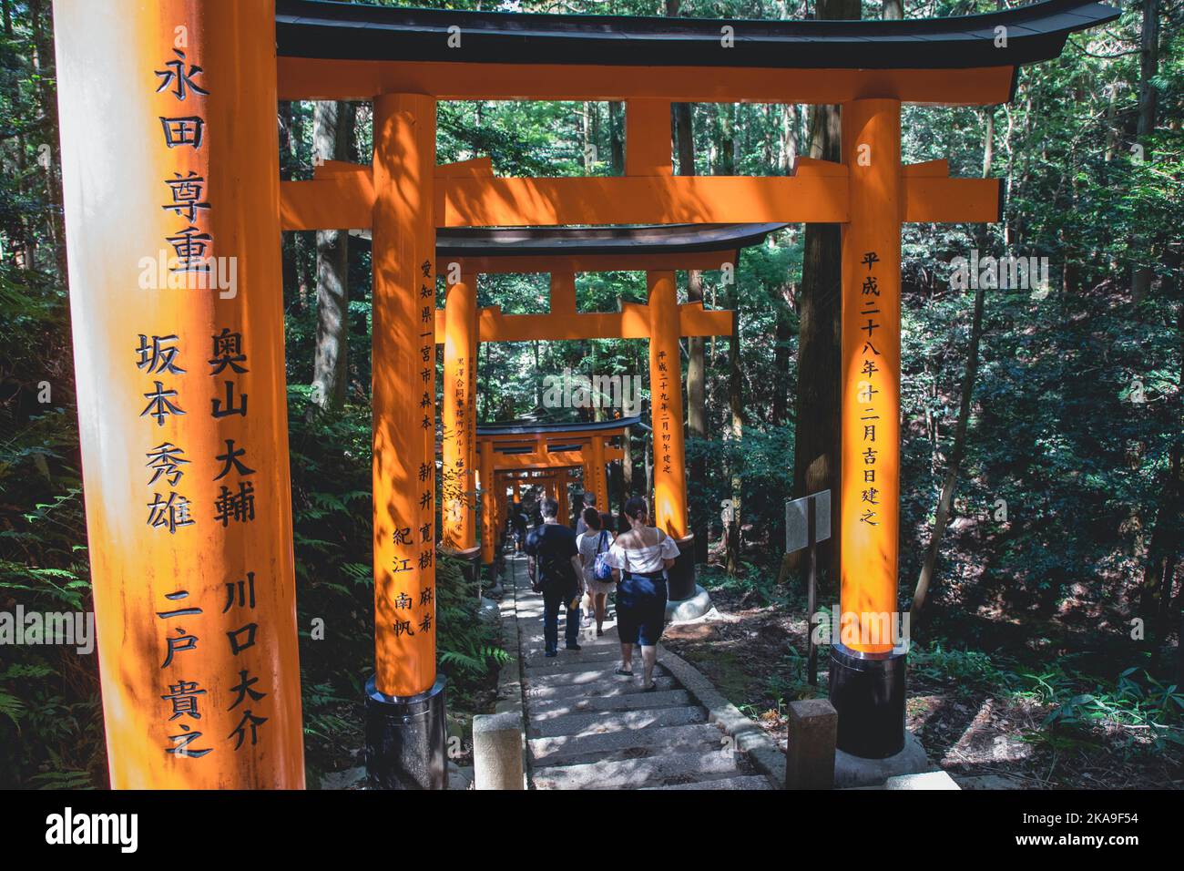 Das rote Torii-Tor im Fushimi Inari Taisha-Schrein ist das berühmte Wahrzeichen von Kyoto, Japan Stockfoto