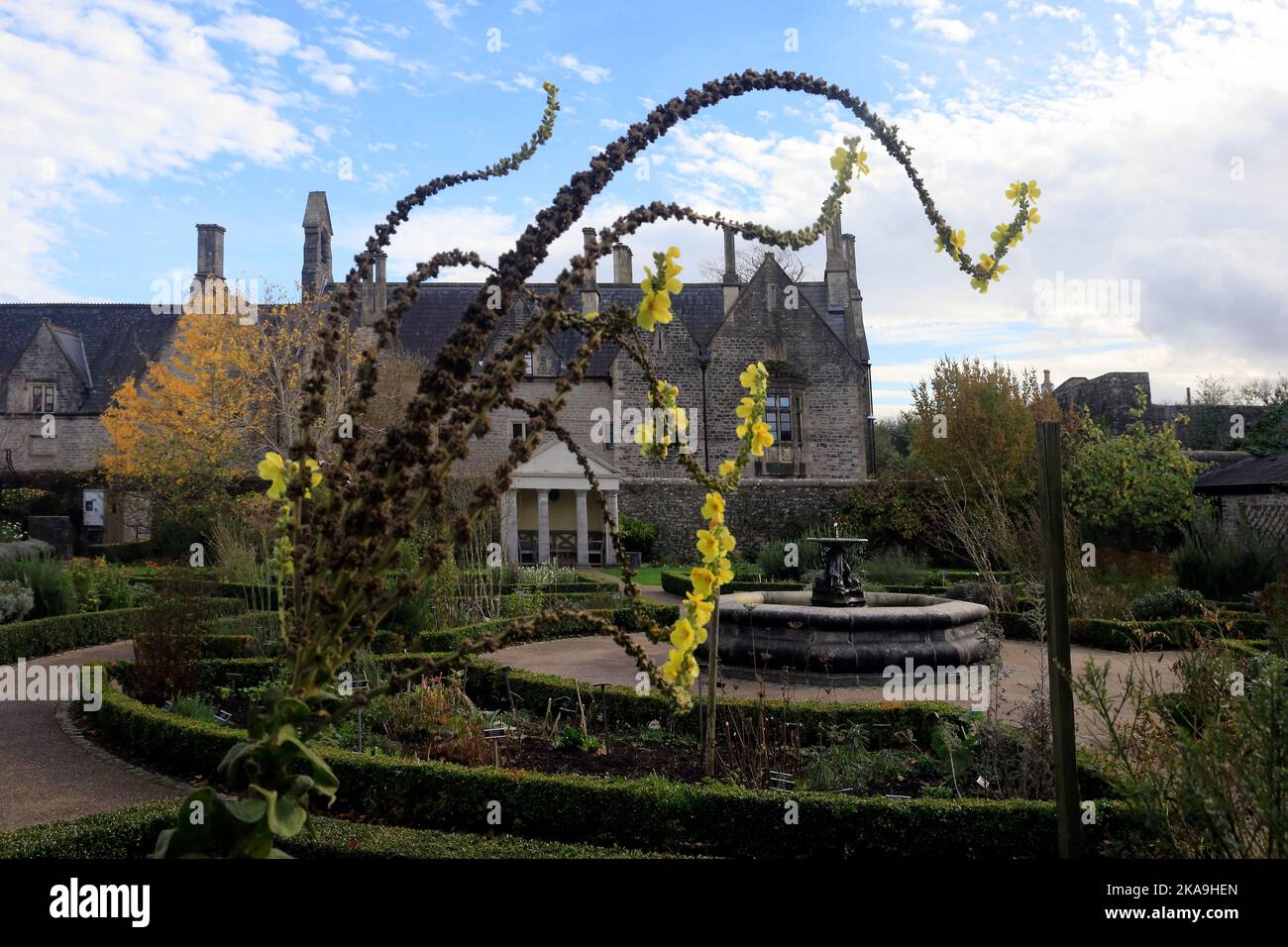 Cowbridge. Alte Grammarschule (heute Wohnungen), vom Cowbridge Physic Garden aus gesehen. , Anfang Herbst 2022. Oktober. Zyl Stockfoto