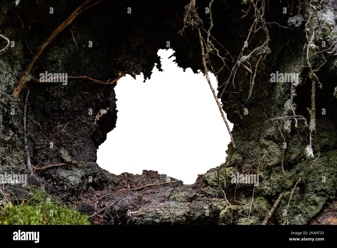 Dunkler Schlamm, Wurzeln und grüner Mooshintergrund Stockfoto