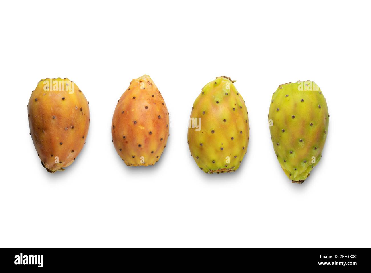 Kaktusfrüchte isoliert auf weißem Hintergrund. Stockfoto