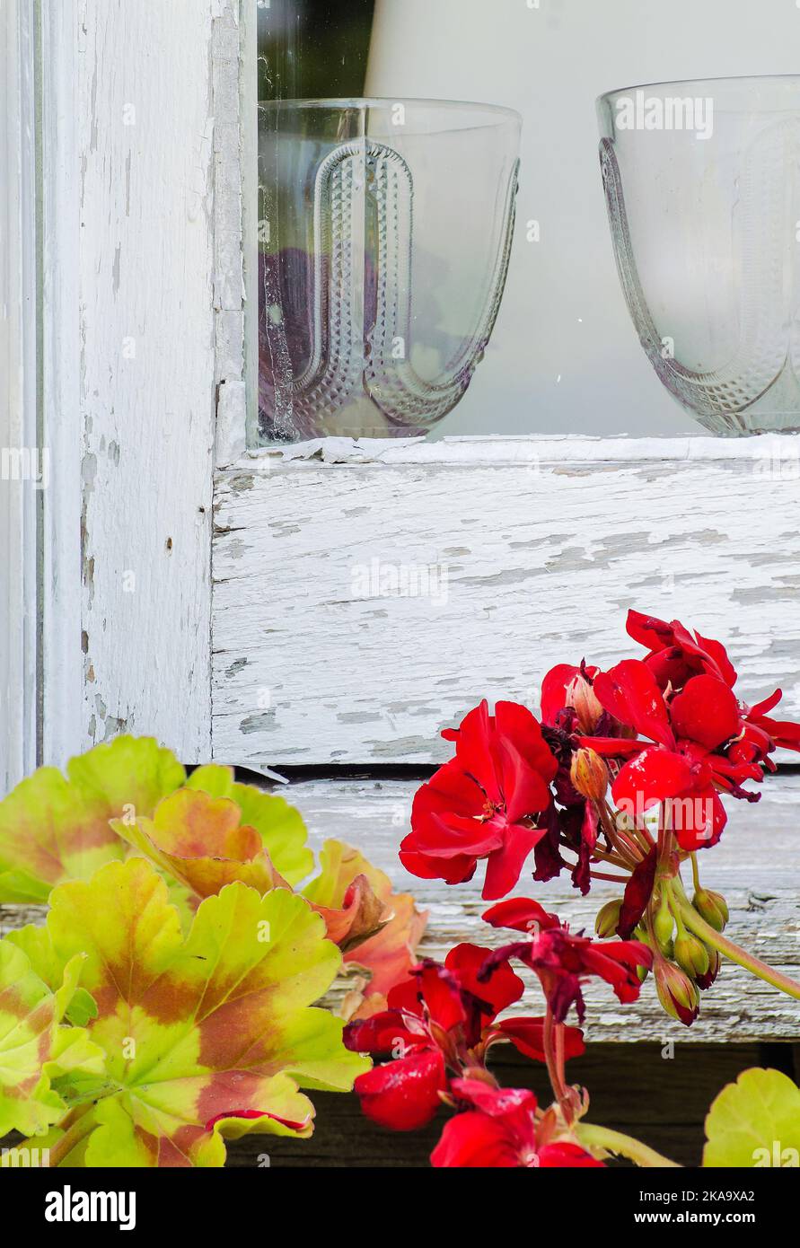 Antike Glaswaren befinden sich im Fenster der historischen Blockhütte im Grand View LandTrust Park in Ellison Bay, Door County, Wisconsin. Stockfoto