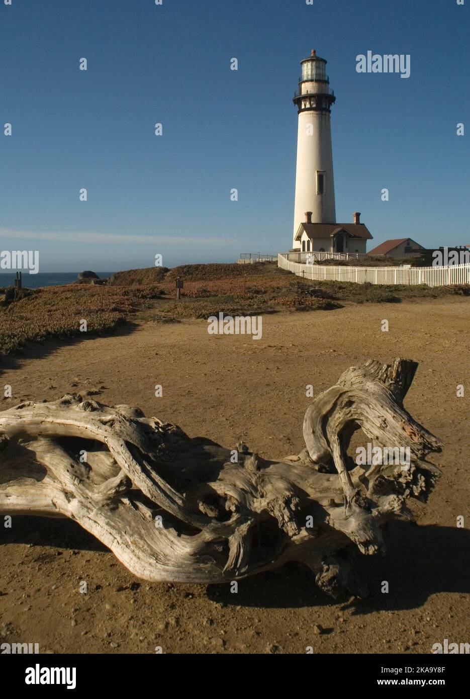 Pigeon Point Lighthouse, Kalifornien Stockfoto