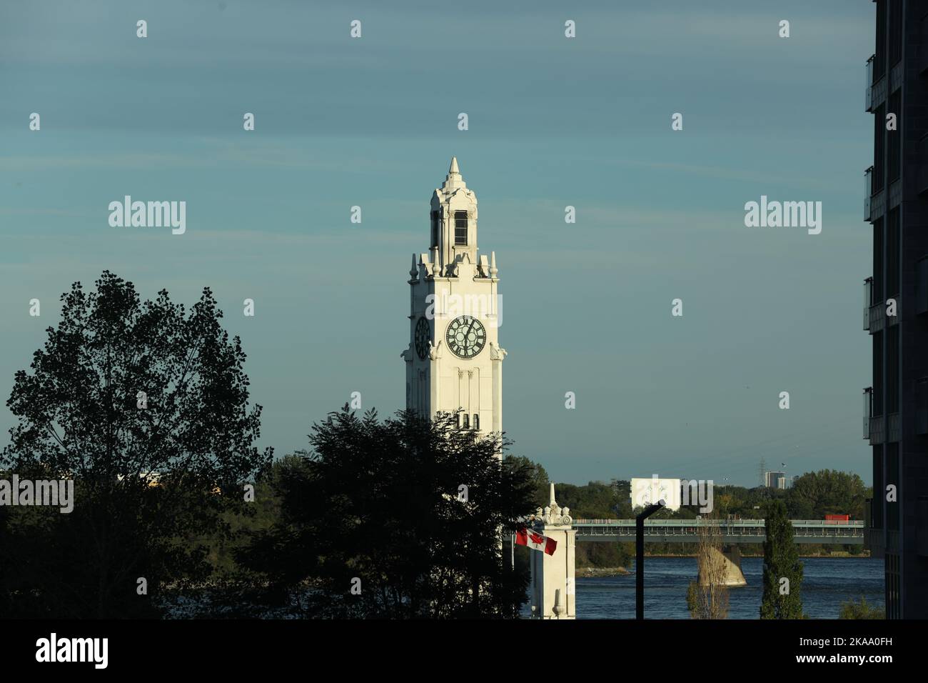 Eine Luftaufnahme des weißen Montréal Uhrturms hinter Bäumen in der Nähe des Wassers Stockfoto