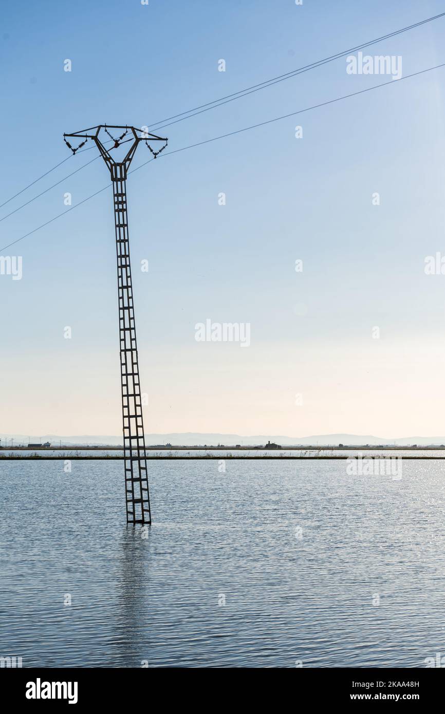 Schiefe elektrische Masten in der Mitte eines überfluteten Reisfeldes. Konzept der elektrischen Energie Stockfoto