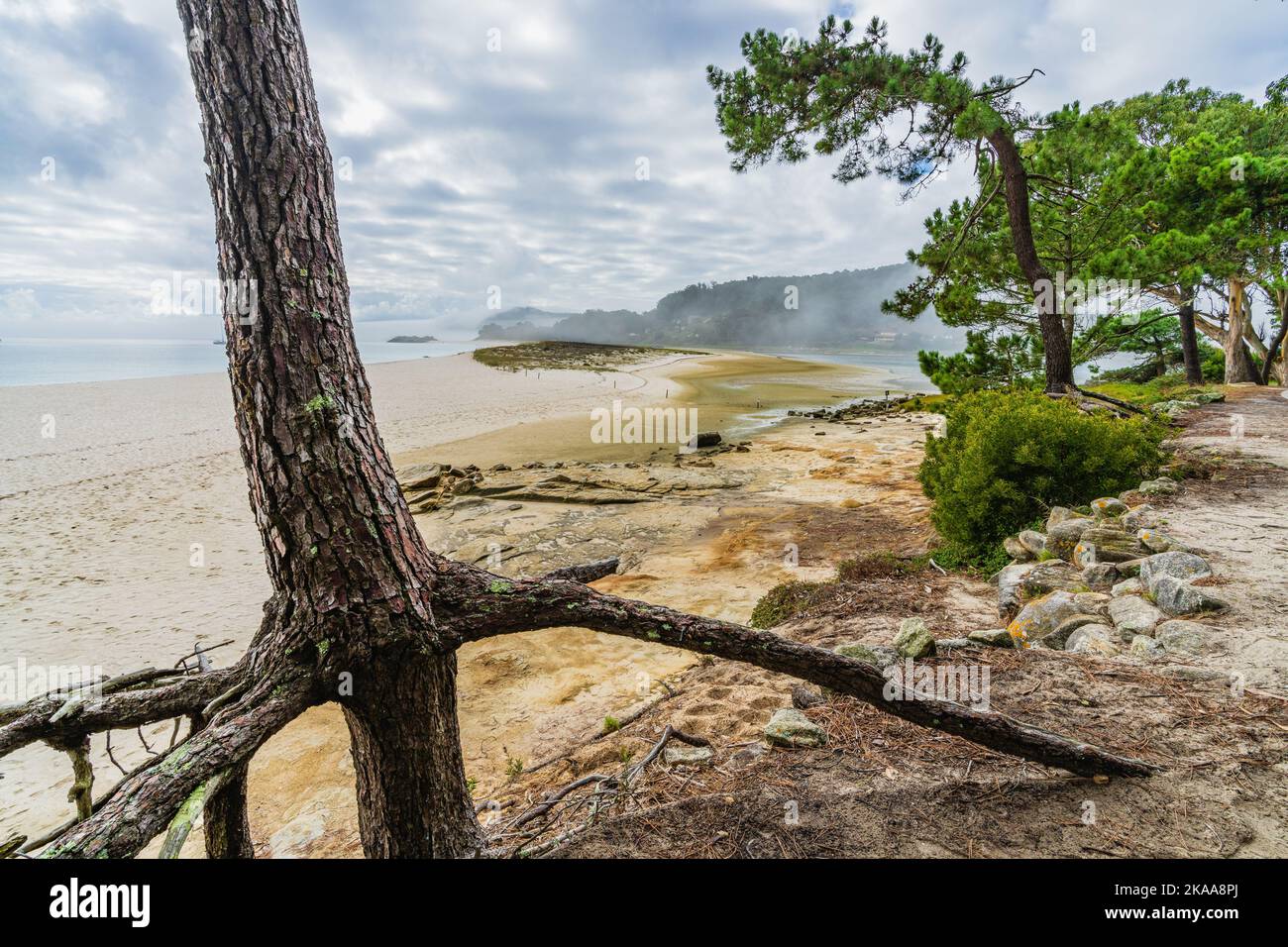 Schöner Strand von Rodas, auf den Cies-Inseln in Galicien, Spanien. Stockfoto