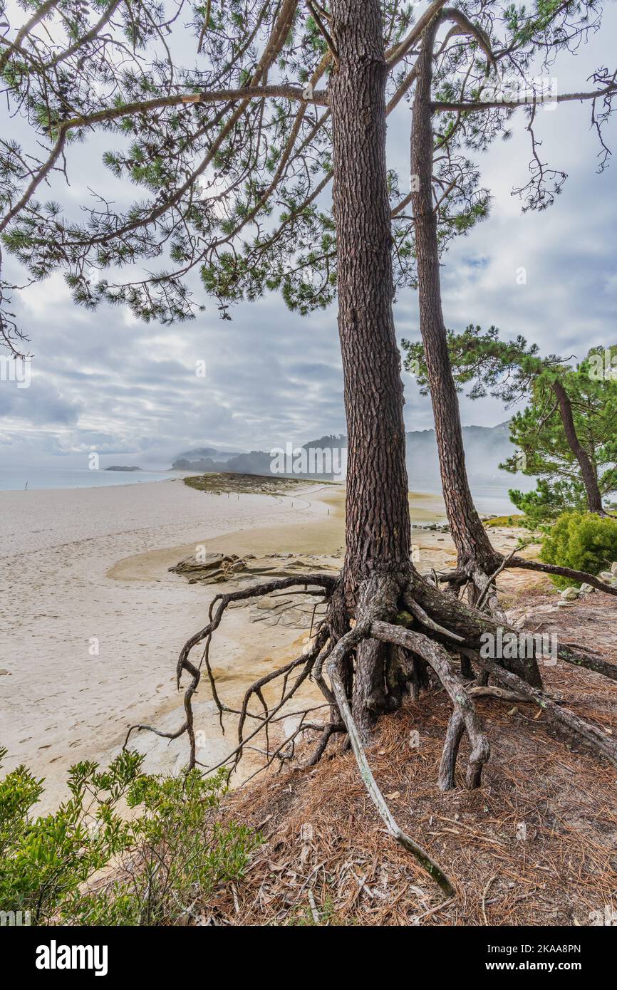 Schöner Strand von Rodas, auf den Cies-Inseln in Galicien, Spanien. Stockfoto