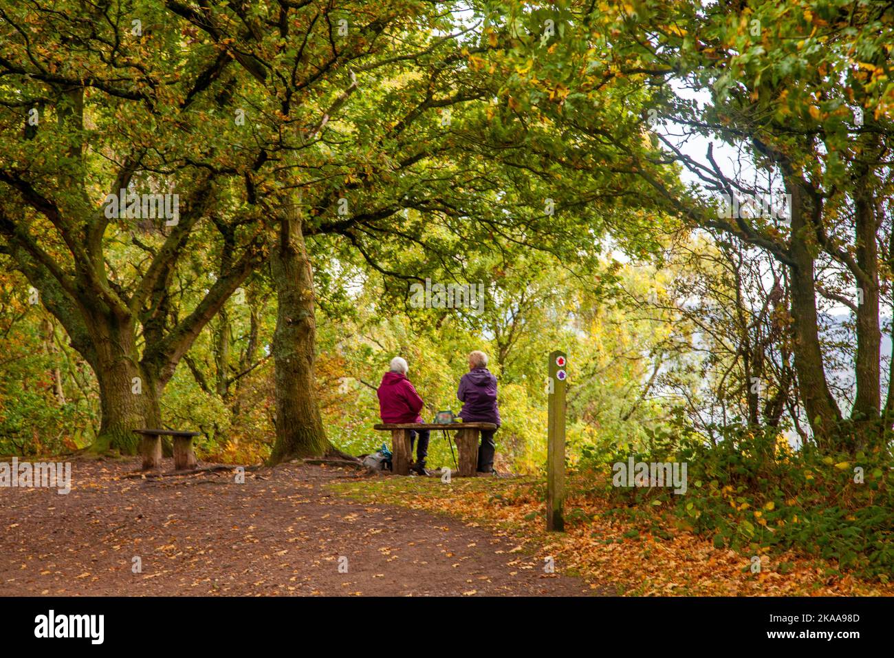 Zwei ältere Frauen saßen auf einer Bank und pickten auf Kinver Edge Staffordshire England Stockfoto