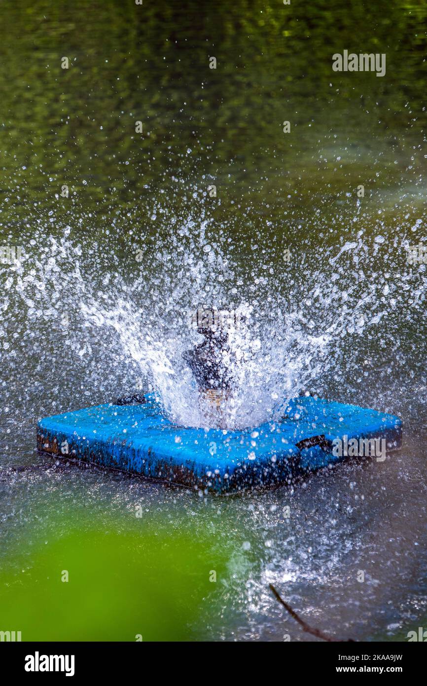 Brunnen im Teich. Ein schwimmender Brunnen in einem Teich, Spritzer