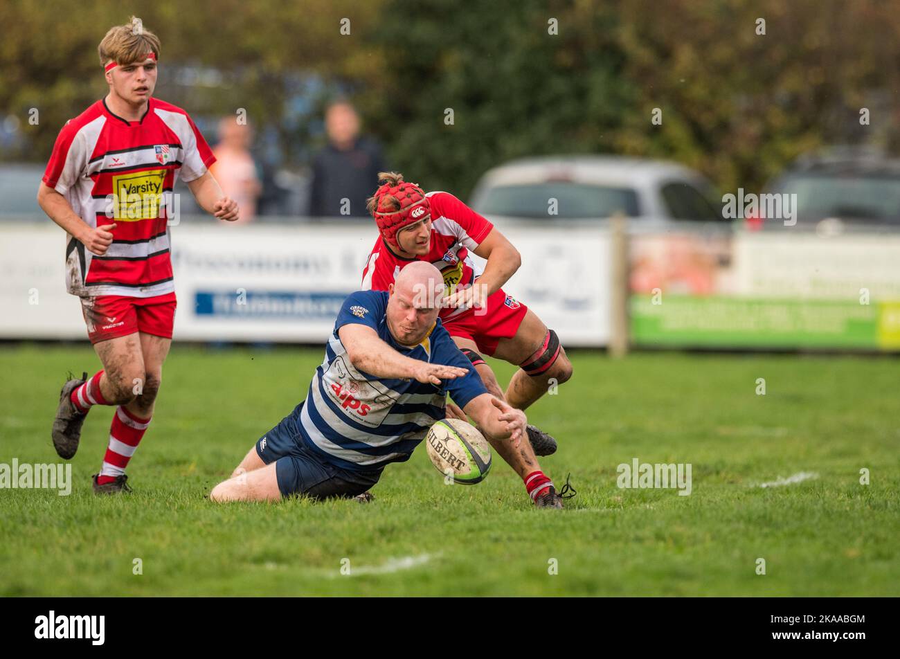 Englische Amateur-Rugby-Union-Spieler, die in einem Ligaspiel spielen. Stockfoto