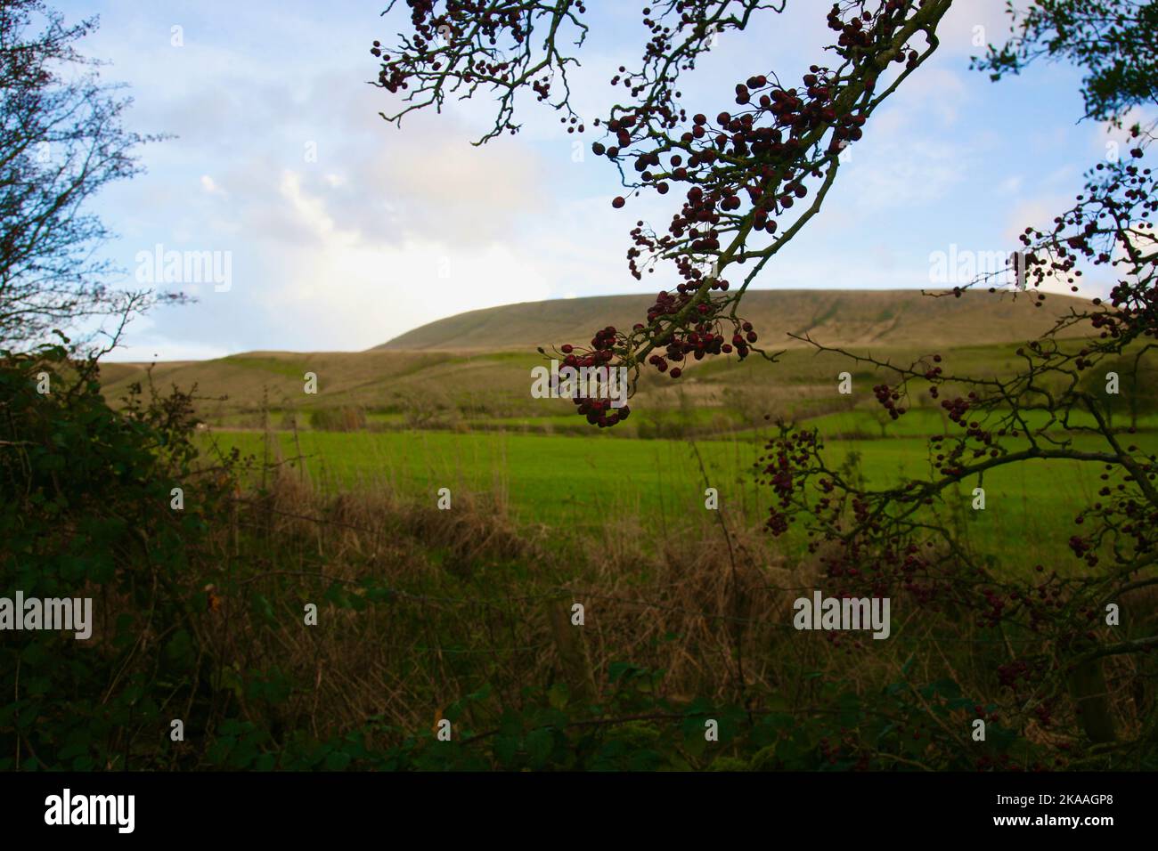 Blick auf Pendle Hill von einer schmalen Gasse am Hang, Lancashire, Großbritannien, Europa Stockfoto