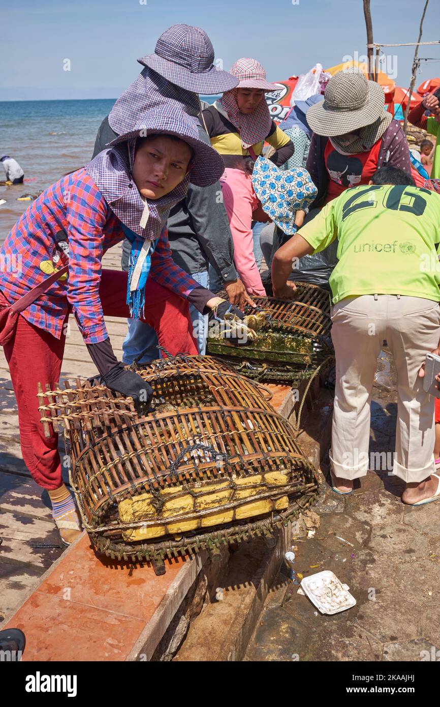 Lokale Frauen sortieren die Krabbentöpfe auf dem Fishing Village Crab Market in Kep Kambodscha Stockfoto