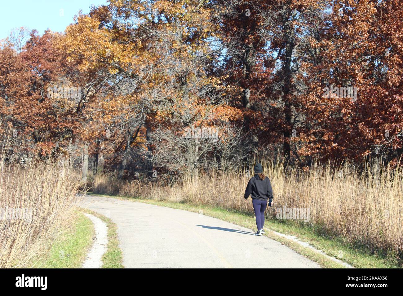 Frau wandert im Herbst an einem sonnigen Tag auf dem North Branch Trail in Morton Grove, Illinois Stockfoto