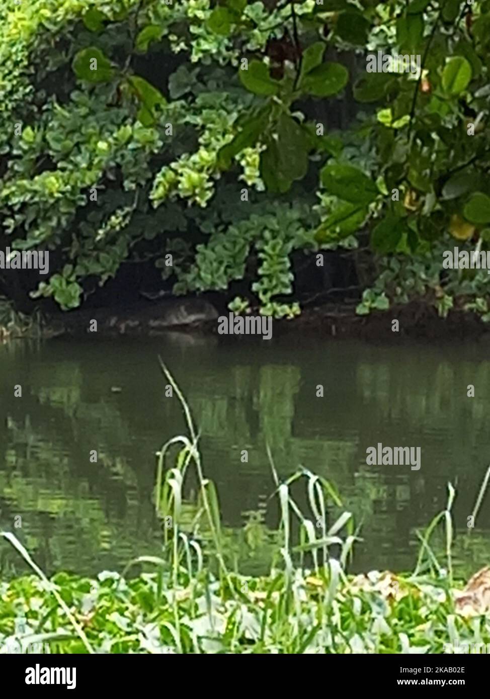 Schöne Landschaftsfotos in Sri Lanka. Besuchen Sie Sri Lanka Stockfoto