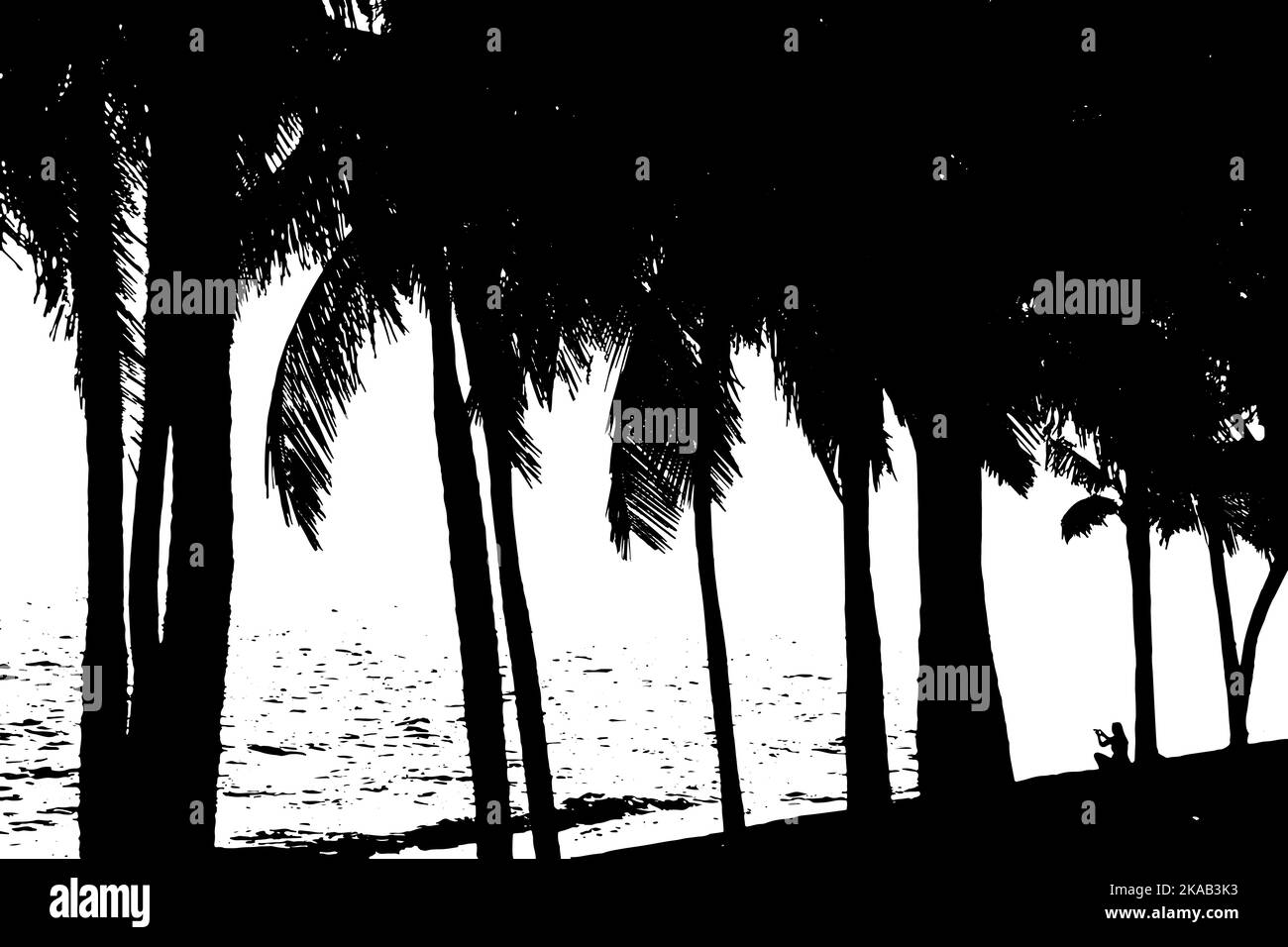 Kokosnuss-Palmen-Silhouette. Vektordarstellung. Stock Vektor