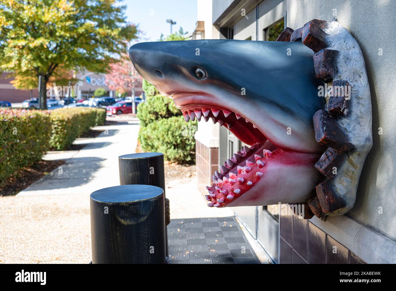 Bedrohliche Haifischskulptur am Eingang des Hook & Reel-Restaurants mit Fisch und Meeresfrüchten und Bar in Snellville (Metro Atlanta), Georgia. (USA) Stockfoto