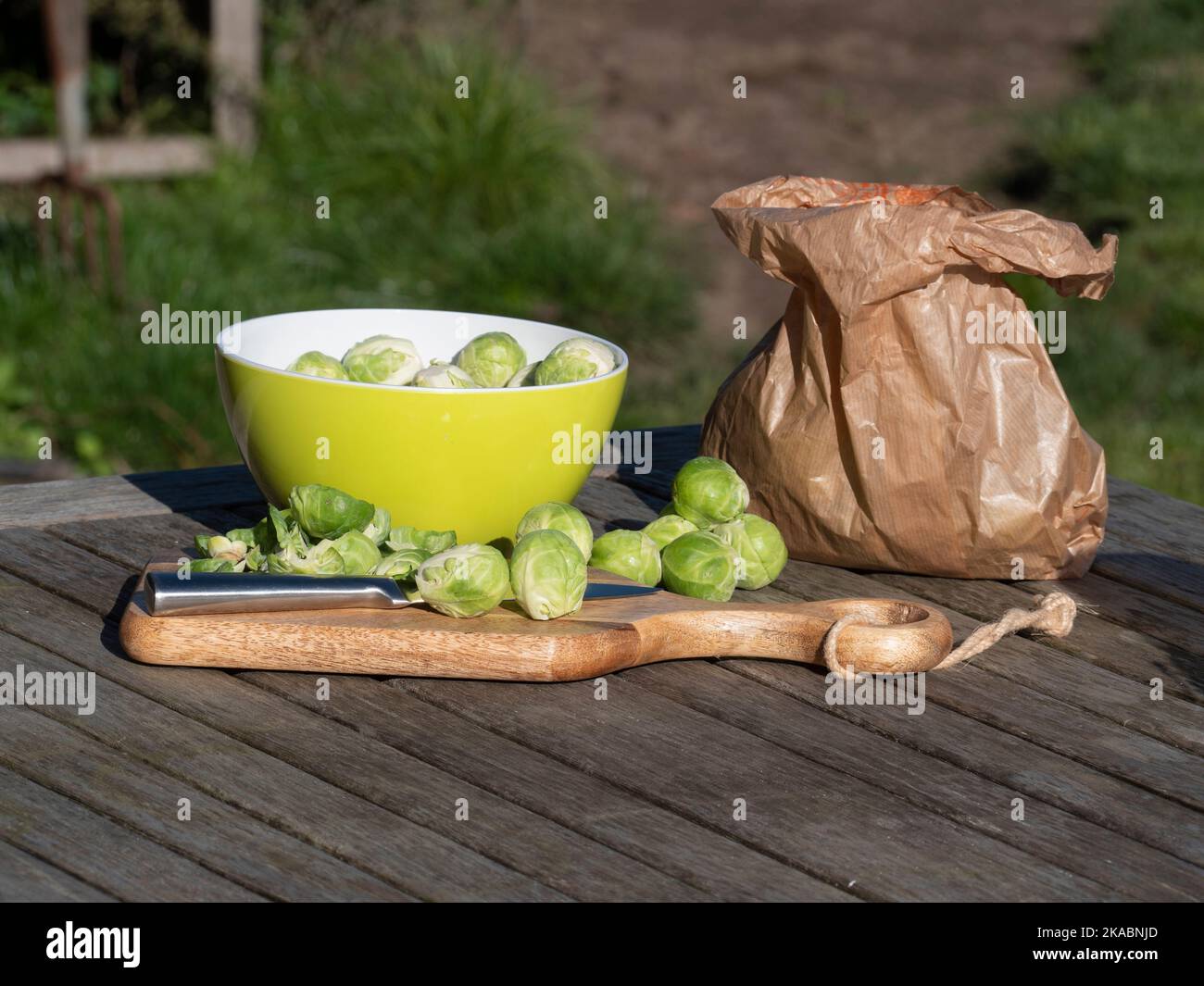 Brüssel sprießt auf einem Holzbrett mit einem Messer, einem Blattstreu, einer grünen Schüssel und einem braunen Papierbeutel Stockfoto